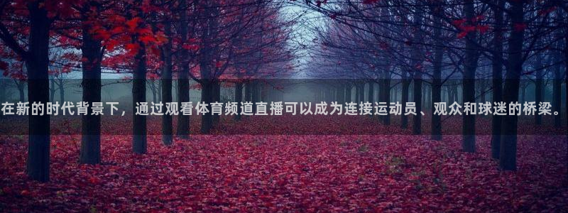 斗球体育直播下载app：在新的时代背景下，通过观看体育频道直播可以成为连接运动员、观众和球迷的桥梁。