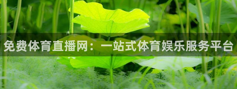 斗球体育app：免费体育直播网：一站式体育娱乐服务平台