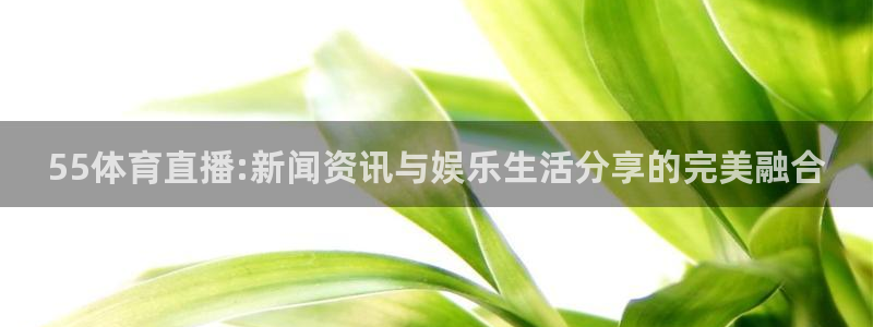 斗球免费看球：55体育直播:新闻资讯与娱乐生活分享的完美融合