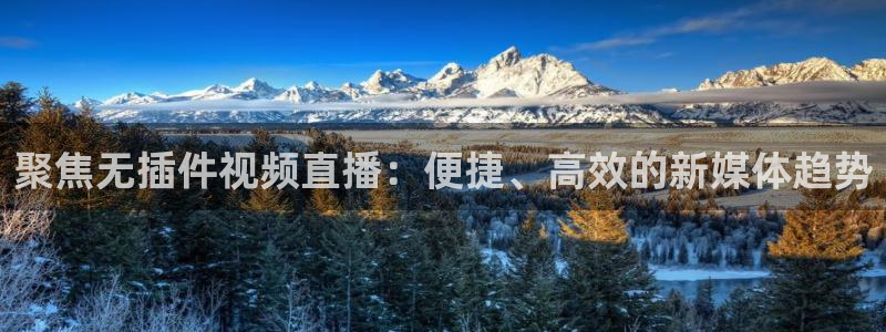 斗球直播app下载安卓：聚焦无插件视频直播：便捷、高效的新媒体趋势