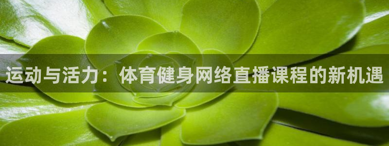 斗球在线直播nba：运动与活力：体育健身网络直播课程的新机遇