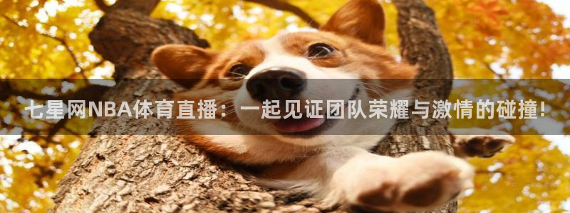 斗球体育苹果下载：七星网NBA体育直播：一起见证团队荣耀与激情的碰撞!